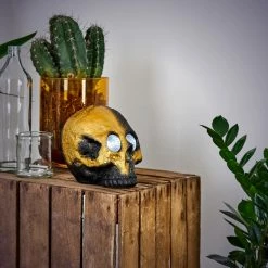 Hofstein Fermo Solarleuchte LED Schwarz, Gold, 2-flammig 27 Hofstein Fermo Solarleuchte LED Schwarz, Gold, 2-flammig -Günstiges Solarleuchten Geschäft fermo solarleuchte h3335222 10