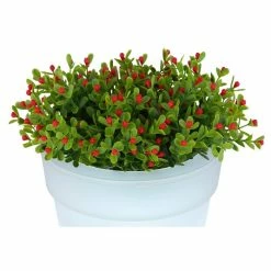 Globo SOLAR Solarleuchte LED Wei&szlig;, 4-flammig -Günstiges Solarleuchten Geschäft globo solar solarleuchte 36231 2