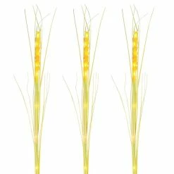 Globo Solarleuchte SOLAR ÄHRE LED Schwarz, 40-flammig -Günstiges Solarleuchten Geschäft globo solarleuchte solar aehre 336042 2