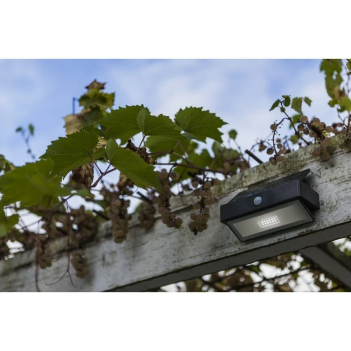 Lutec Lampen Lutec ARROW Solar-Außenwandleuchte LED Anthrazit, 1-flammig, Bewegungsmelder 3 Lutec Lampen Lutec ARROW Solar-Außenwandleuchte LED Anthrazit, 1-flammig, Bewegungsmelder