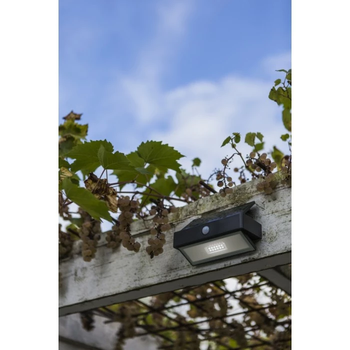 Lutec Lampen Lutec ARROW Solar-Außenwandleuchte LED Anthrazit, 1-flammig, Bewegungsmelder 5 Lutec Lampen Lutec ARROW Solar-Außenwandleuchte LED Anthrazit, 1-flammig, Bewegungsmelder – Bild 3