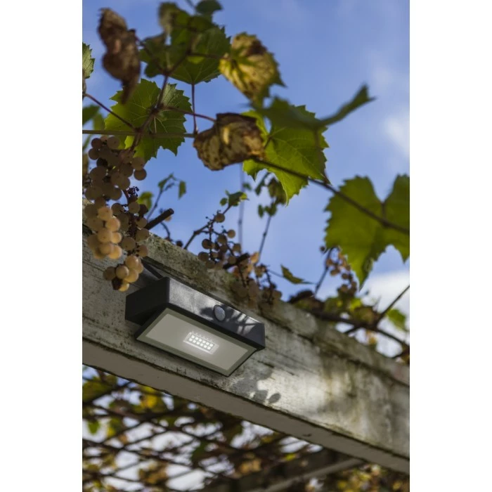 Lutec Lampen Lutec ARROW Solar-Außenwandleuchte LED Anthrazit, 1-flammig, Bewegungsmelder 6 Lutec Lampen Lutec ARROW Solar-Außenwandleuchte LED Anthrazit, 1-flammig, Bewegungsmelder – Bild 4