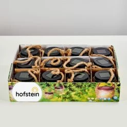 Hofstein Maastricht Solarleuchte 12er-Set LED Schwarz, 1-flammig -Günstiges Solarleuchten Geschäft maastricht solarleuchte 12er set h3305287 do1 2
