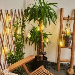 Hofstein Markhus Solar-Lichterkette LED Transparent, Klar, 10-flammig -Günstiges Solarleuchten Geschäft markhus solar lichterkette h3435762 10