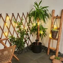 Hofstein Markhus Solar-Lichterkette LED Transparent, Klar, 10-flammig -Günstiges Solarleuchten Geschäft markhus solar lichterkette h3435762 6