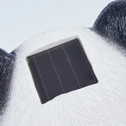 Hofstein Pandia Solarleuchte LED Schwarz, Gr&uuml;n, Wei&szlig;, Rosa, 2-flammig -Günstiges Solarleuchten Geschäft pandia solarleuchte h3427873 11