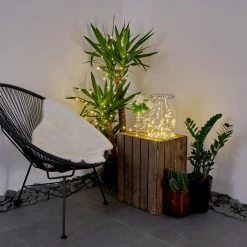 Hofstein Pistoia Solarlichterkette LED Weiß, 120-flammig -Günstiges Solarleuchten Geschäft pistoia solarlichterkette h3371169 2