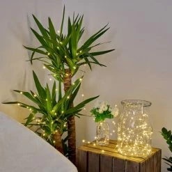 Hofstein Pistoia Solarlichterkette LED Weiß, 120-flammig -Günstiges Solarleuchten Geschäft pistoia solarlichterkette h3371169 3