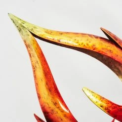 Hofstein Rovinj Solarleuchte LED Rot, Gelb, Schwarz, 10-flammig -Günstiges Solarleuchten Geschäft rovinj solarleuchte h3425664 2