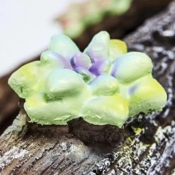 Hofstein Samana Solarleuchte LED Gelb, Grün, Braun, Rosa, 20-flammig 20 Hofstein Samana Solarleuchte LED Gelb, Grün, Braun, Rosa, 20-flammig -Günstiges Solarleuchten Geschäft samana solarleuchte h3426845 5