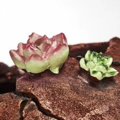 Hofstein Samana Solarleuchte LED Grün, Braun, Rosa, 20-flammig -Günstiges Solarleuchten Geschäft samana solarleuchte h3426869 2