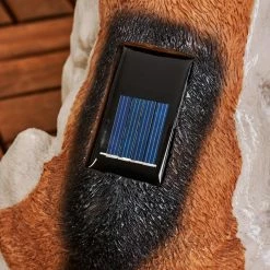 Hofstein Sofie Solarleuchte LED Schwarz, Weiß, Orange, 1-flammig -Günstiges Solarleuchten Geschäft sofie solarleuchte h3425848 5