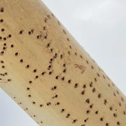 Hofstein Tolab Solarleuchte LED Schwarz, Braun, 1-flammig -Günstiges Solarleuchten Geschäft tolab solarleuchte h3420287 5