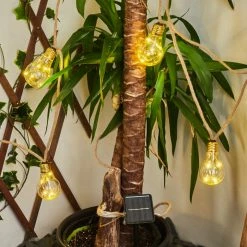 Hofstein Trygsland Solar-Lichterkette LED Braun, 50-flammig 24 Hofstein Trygsland Solar-Lichterkette LED Braun, 50-flammig -Günstiges Solarleuchten Geschäft trygsland solar lichterkette h3435649 10